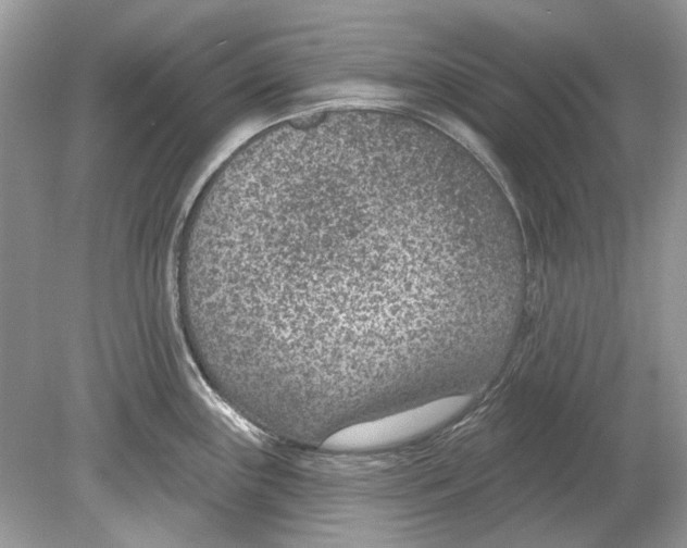 X0000078891243200612042042