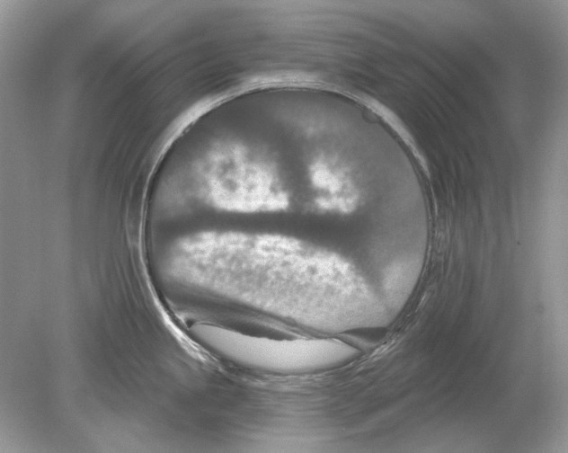 X0000078891245200612042042