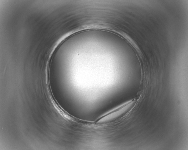 X0000078891246200612042042