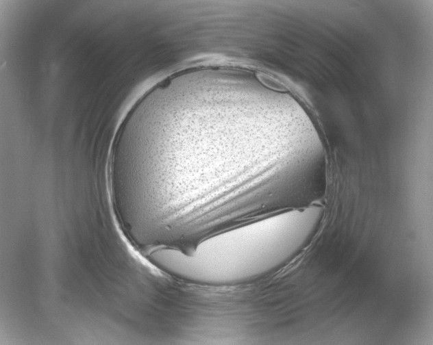 X0000078891247200612042042