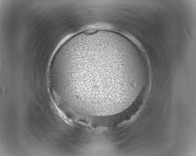 X0000078891248200612042042