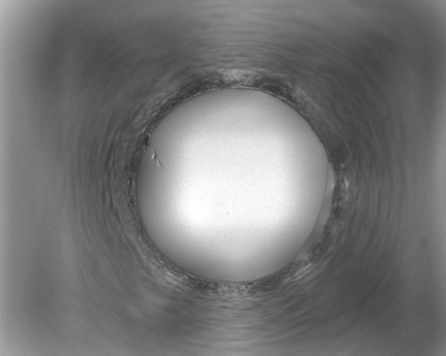 X0000078891249200612042041