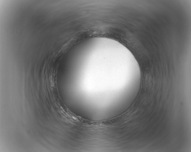 X0000078891250200612042041