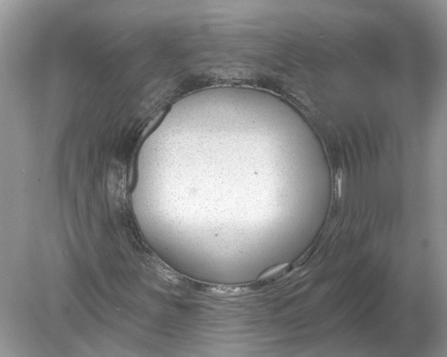 X0000078891251200612042041