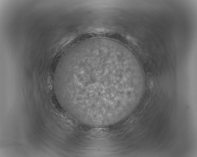 X0000078891253200612042041