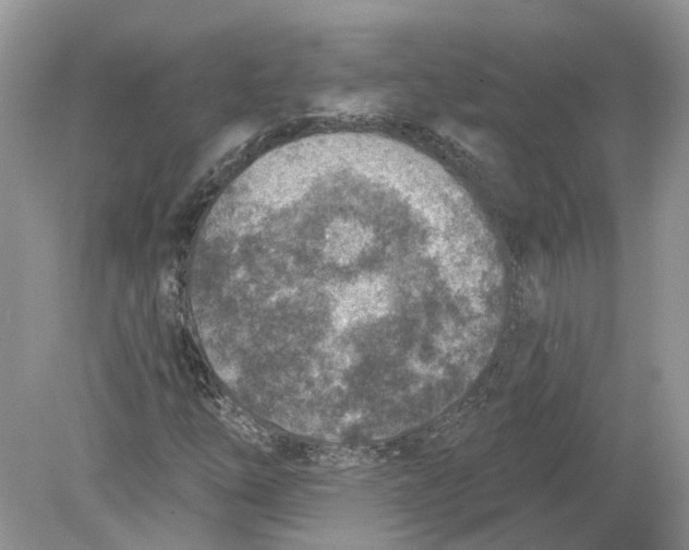 X0000078891254200612042041