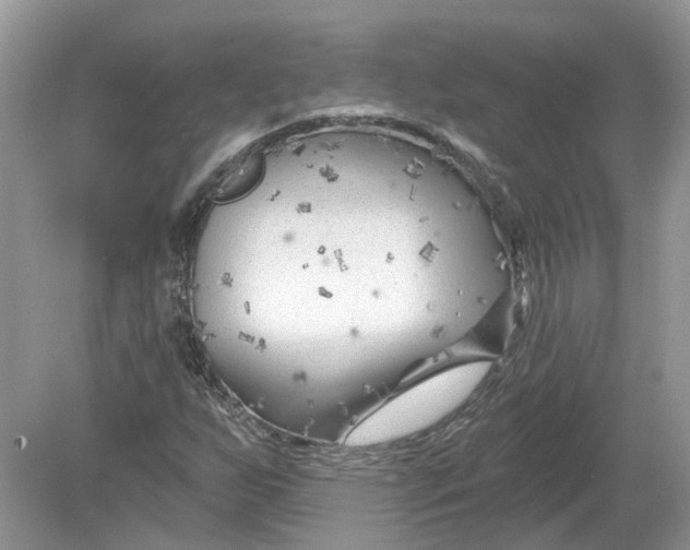 X0000078891255200612042041