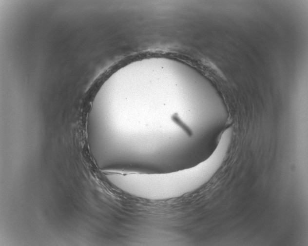 X0000078891256200612042041