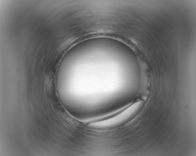 X0000078891257200612042041