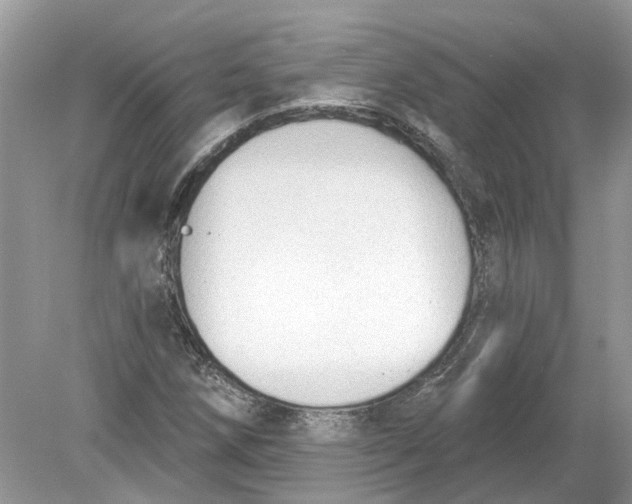 X0000078891258200612042041