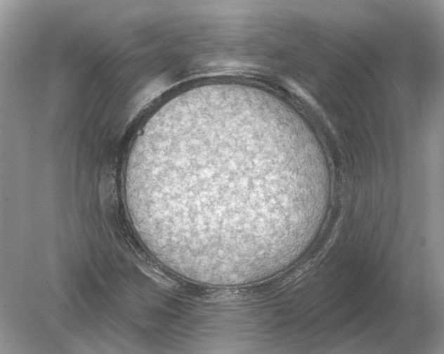 X0000078891259200612042041