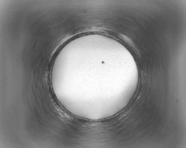 X0000078891260200612042041