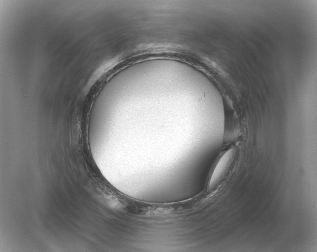 X0000078891261200612042041