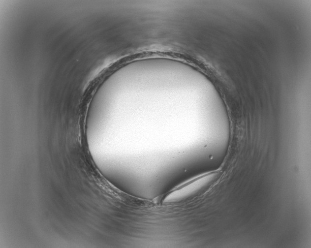 X0000078891262200612042041