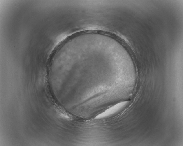 X0000078891263200612042041