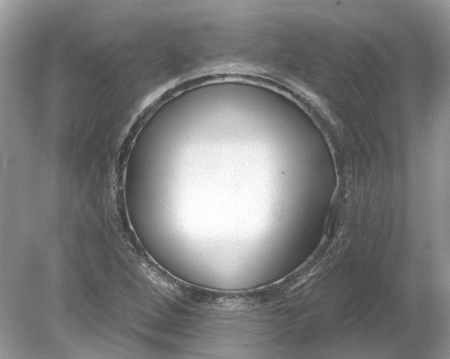 X0000078891264200612042041