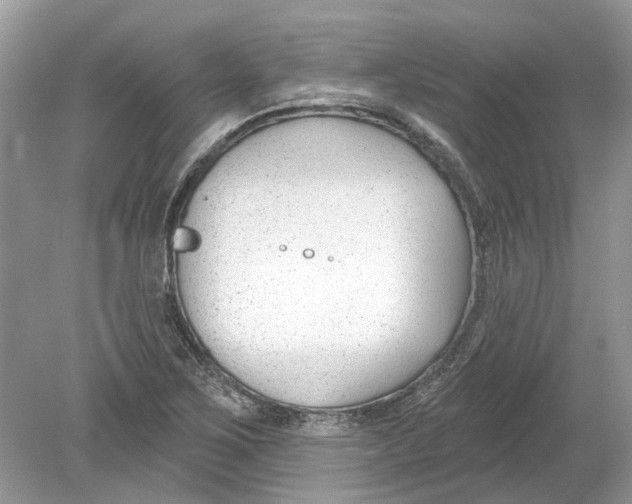 X0000078891267200612042041