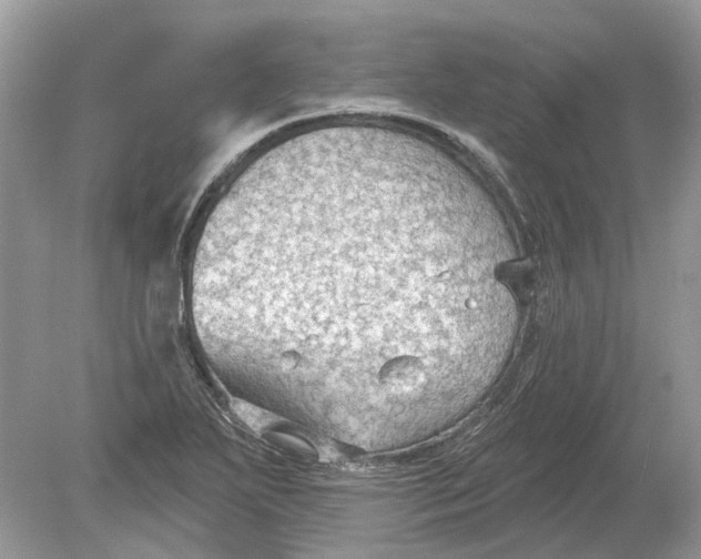 X0000078891271200612042041