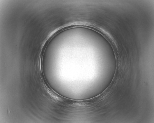 X0000078891272200612042041