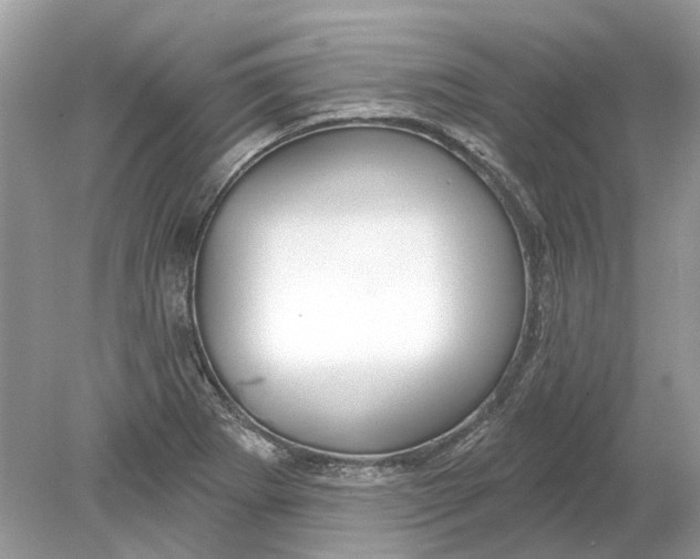 X0000078891273200612042041