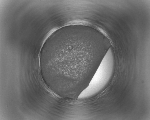 X0000078891275200612042041