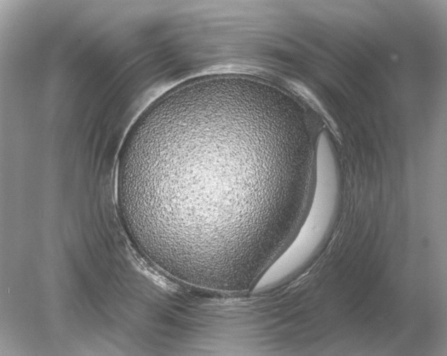 X0000078891276200612042041