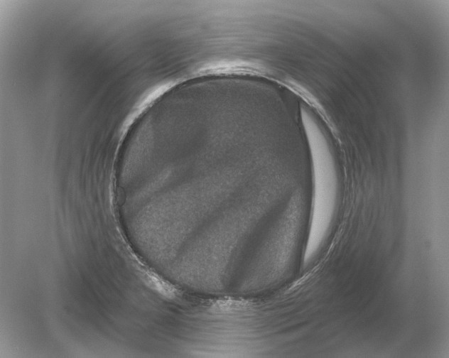 X0000078891277200612042041