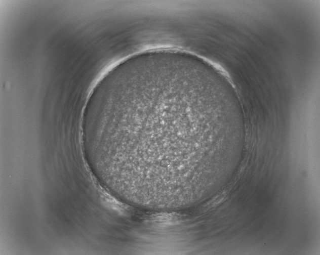 X0000078891279200612042041