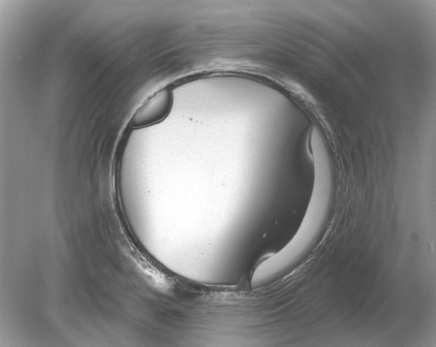 X0000078891280200612042041