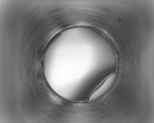 X0000078891281200612042040