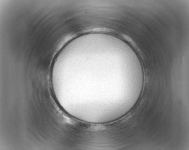 X0000078891282200612042040