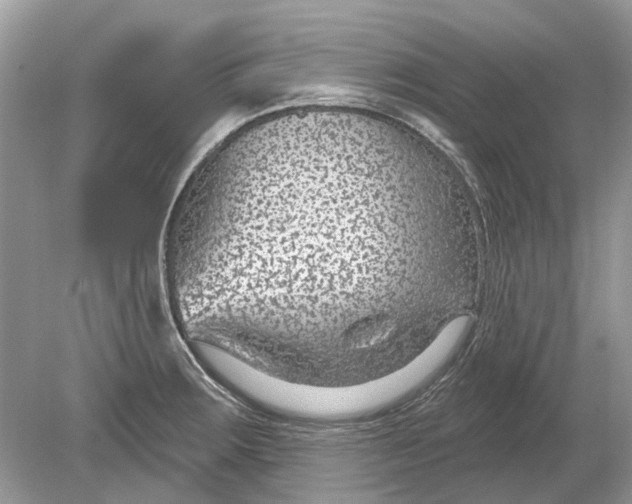 X0000078891283200612042040