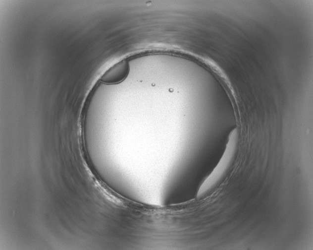 X0000078891287200612042040