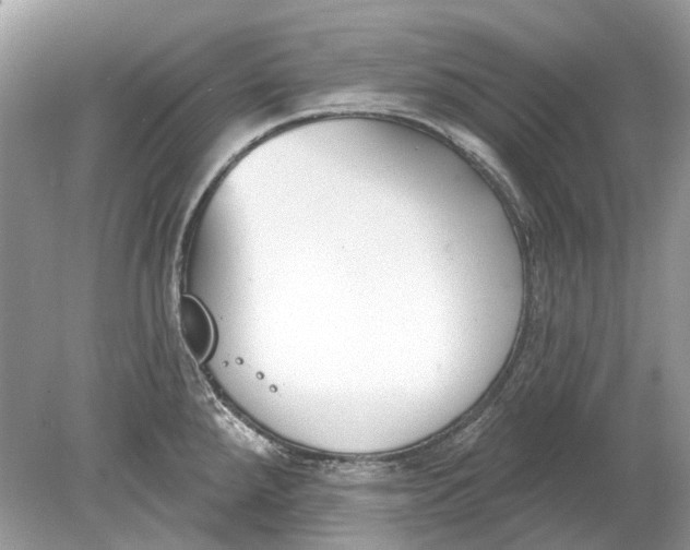 X0000078891288200612042040