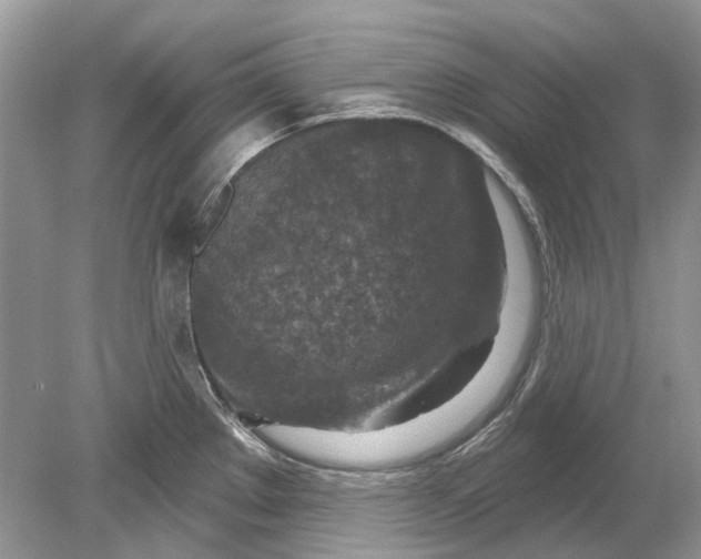 X0000078891289200612042040