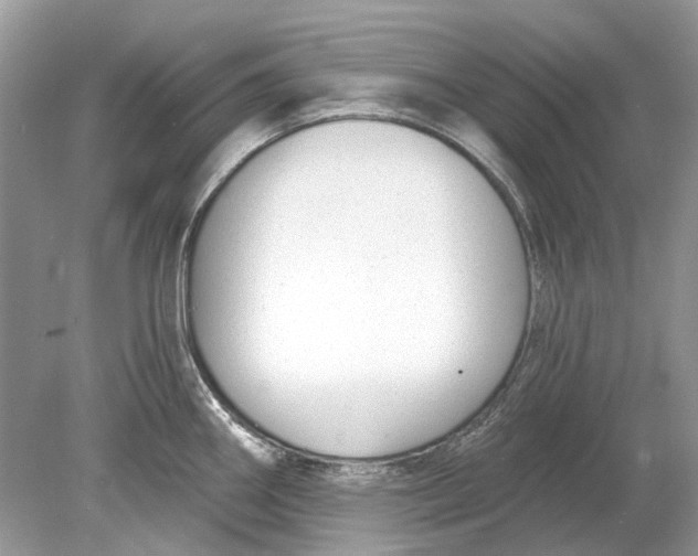 X0000078891290200612042040