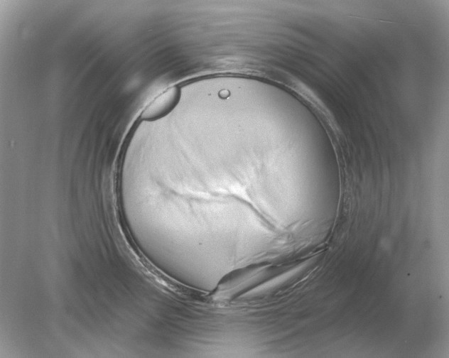 X0000078891291200612042040