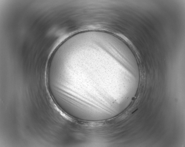 X0000078891294200612042040