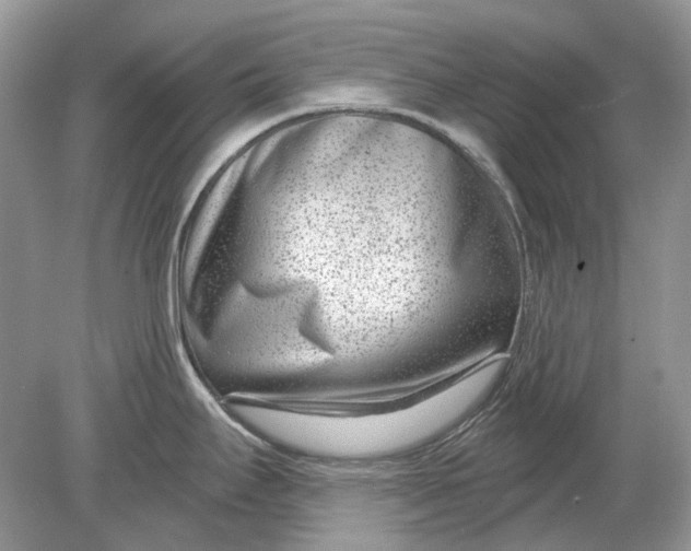 X0000078891295200612042040