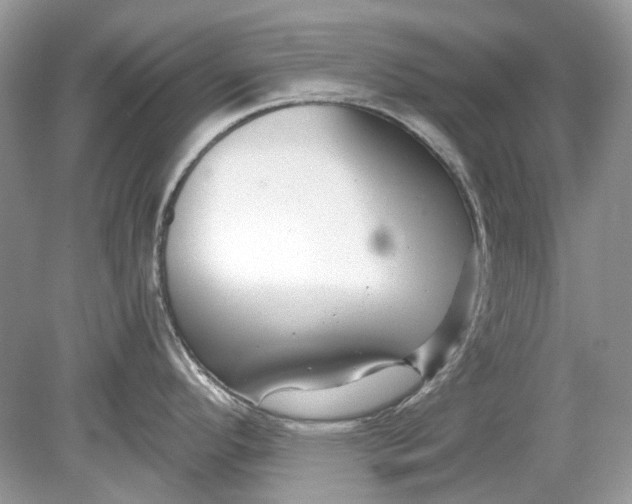 X0000078891296200612042040