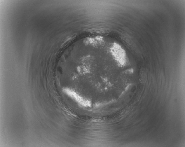 X0000078891297200612042039