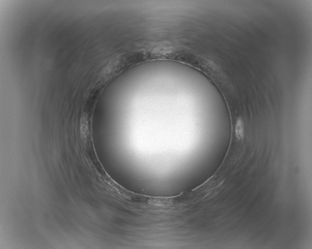 X0000078891299200612042039