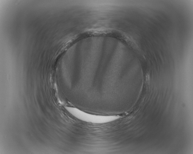 X0000078891300200612042039