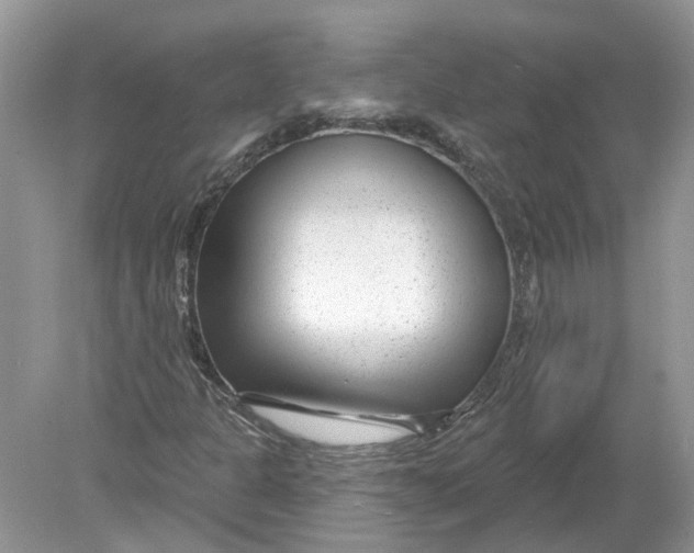 X0000078891301200612042039