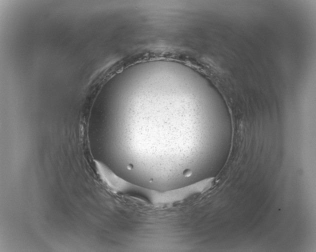 X0000078891302200612042040