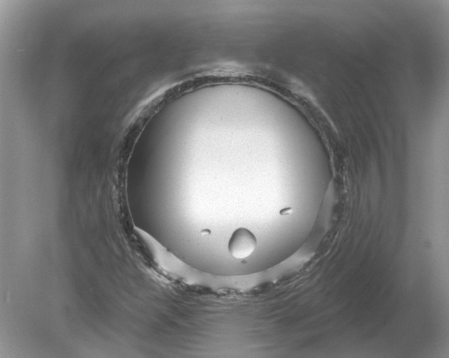 X0000078891304200612042040