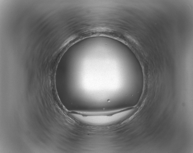 X0000078891305200612042040