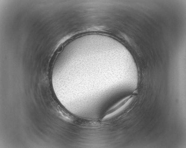 X0000078891308200612042040