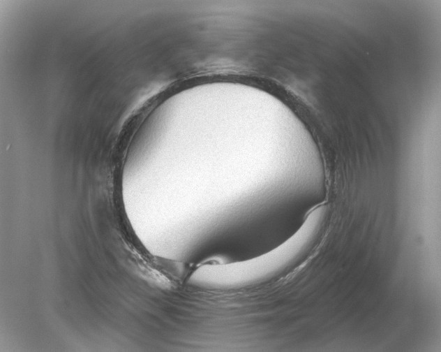 X0000078891309200612042040