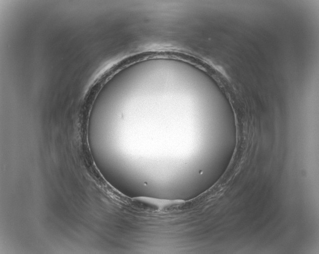 X0000078891311200612042040